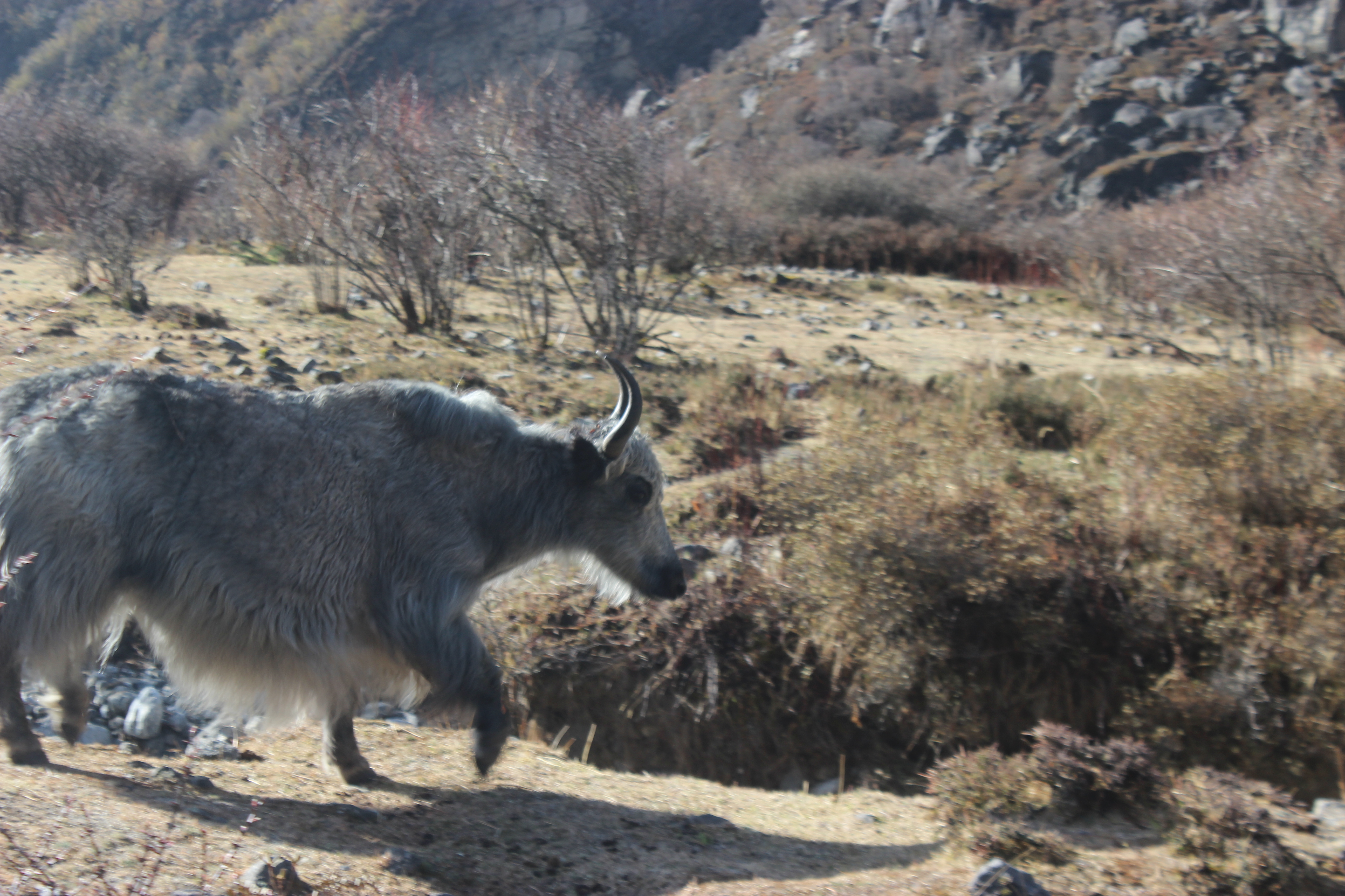 Urban Odyssey: From the Glamour of Los Angeles to the Architectural Marvels of Chicago